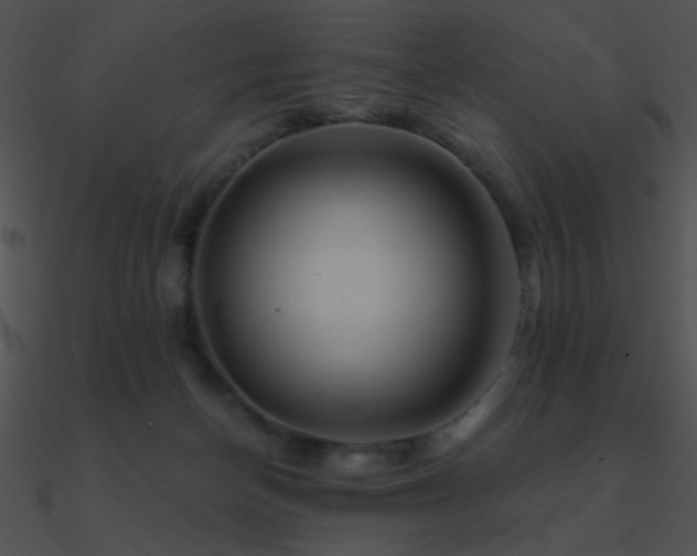 X0000090970174200708021445