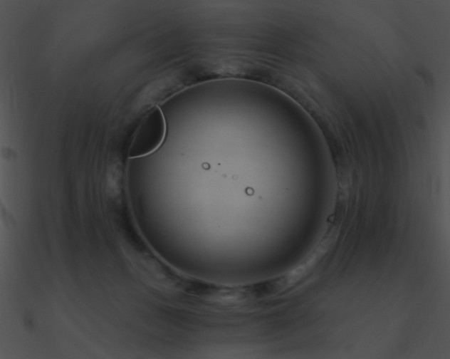 X0000090970175200708021445