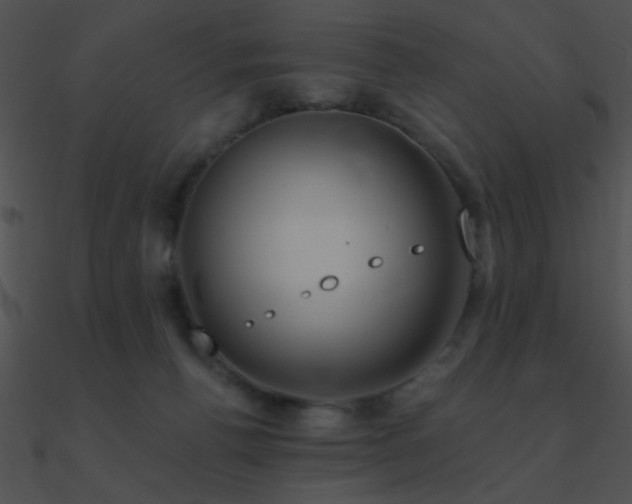 X0000090970176200708021445