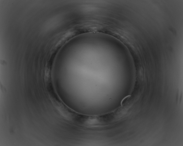 X0000090970177200708021445