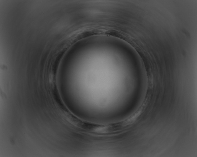 X0000090970178200708021445