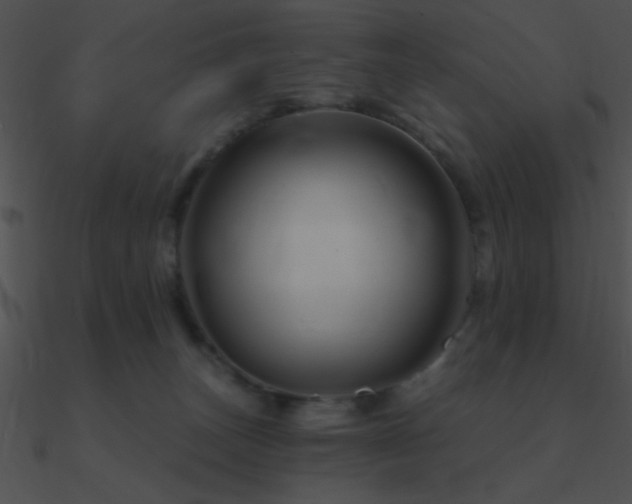 X0000090970179200708021445