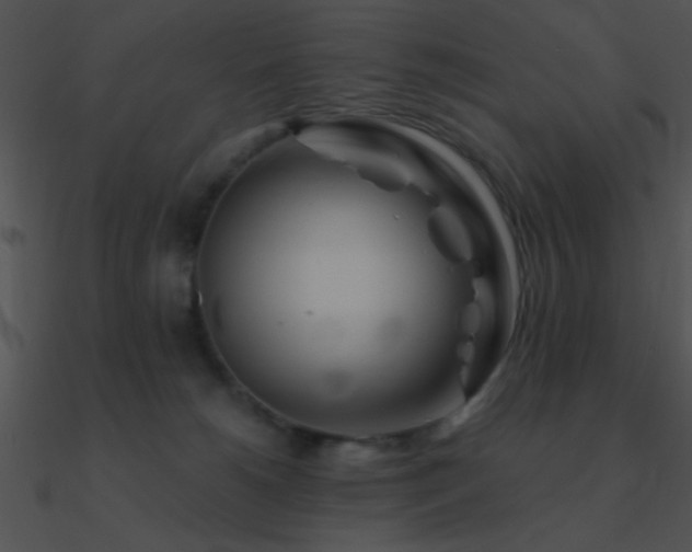 X0000090970180200708021445