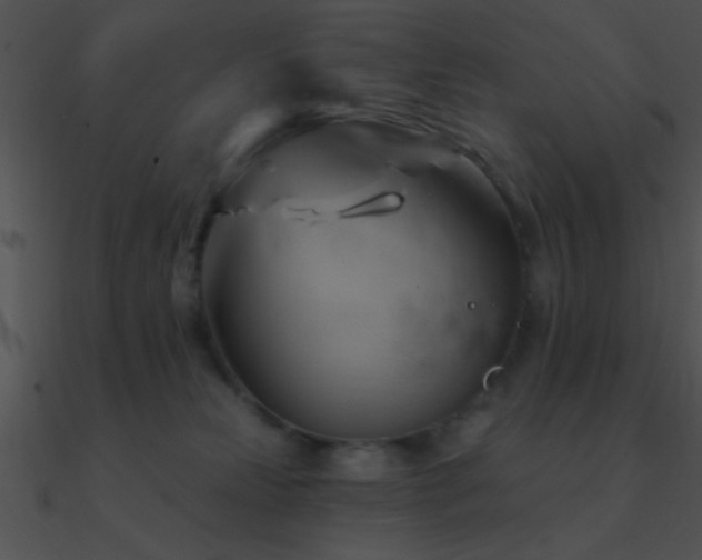 X0000090970181200708021445