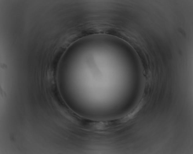 X0000090970182200708021445