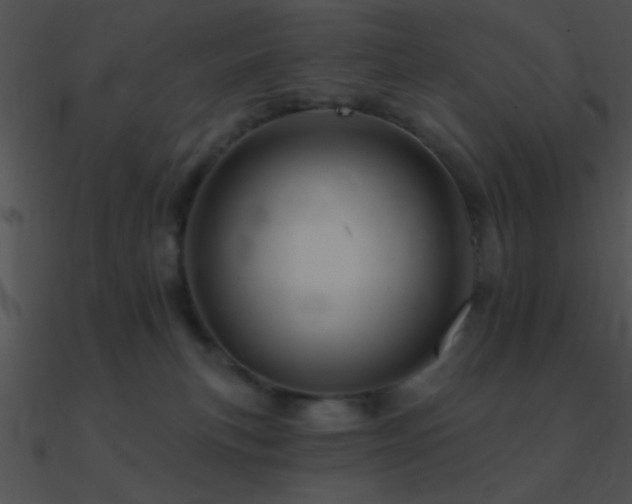 X0000090970183200708021445