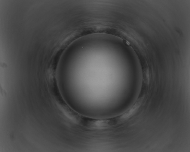 X0000090970184200708021445