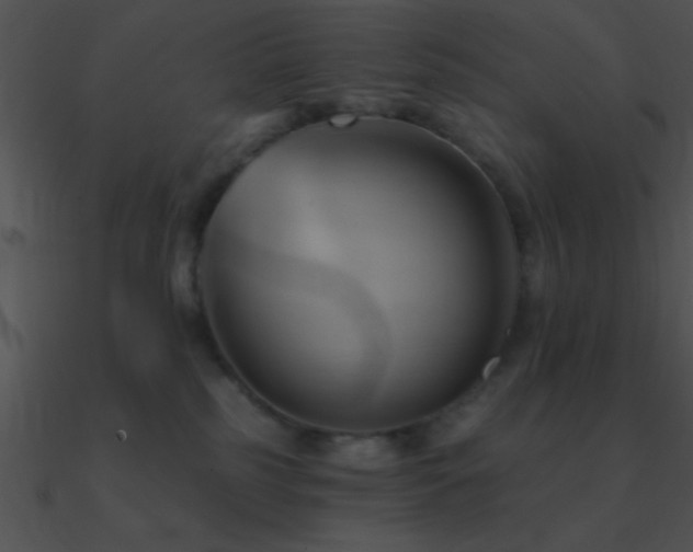 X0000090970185200708021445