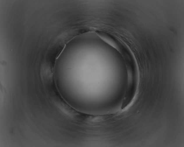 X0000090970186200708021445