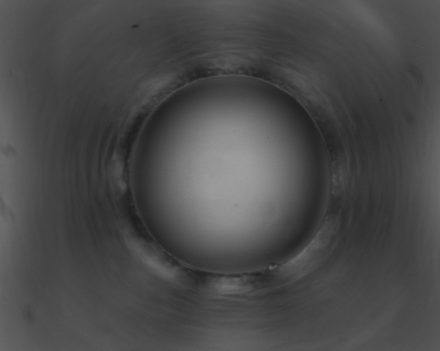 X0000090970187200708021445