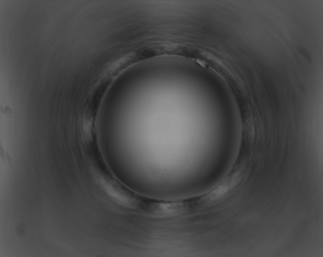 X0000090970188200708021445