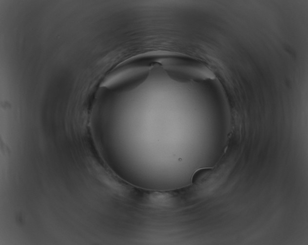 X0000090970189200708021445