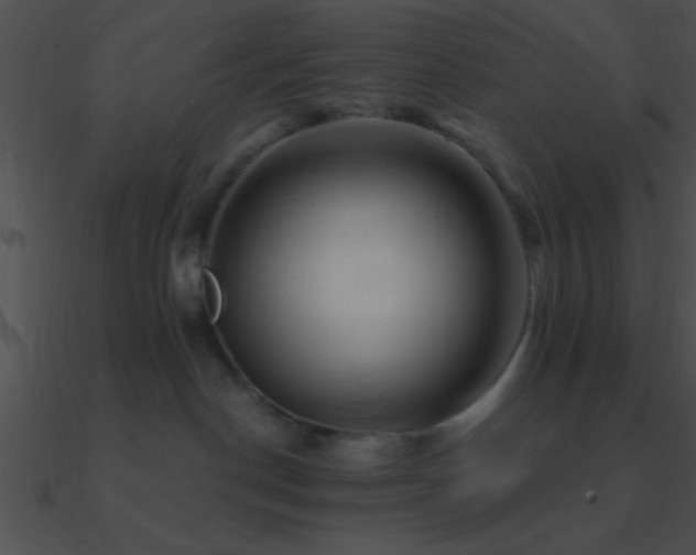 X0000090970190200708021445