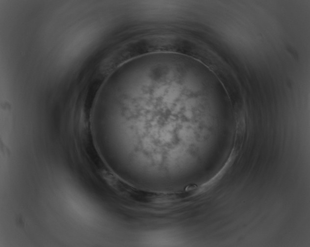 X0000090970191200708021445