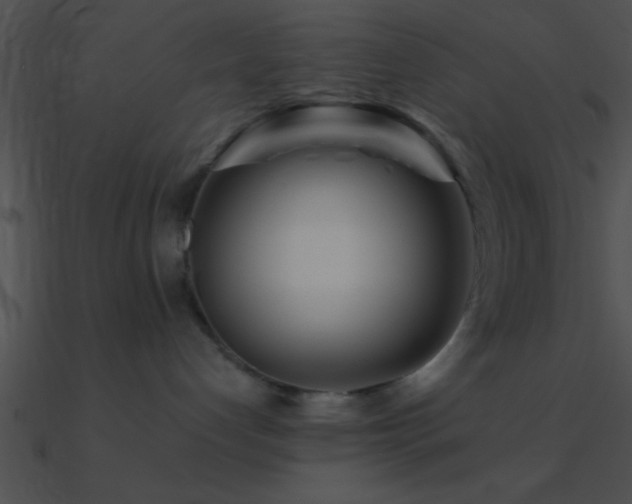 X0000090970192200708021445