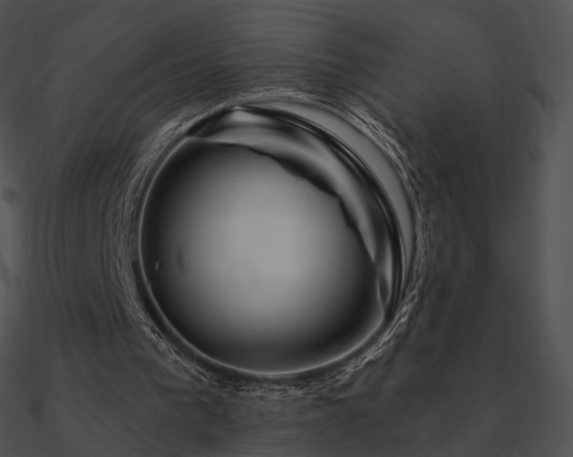 X0000090970193200708021445