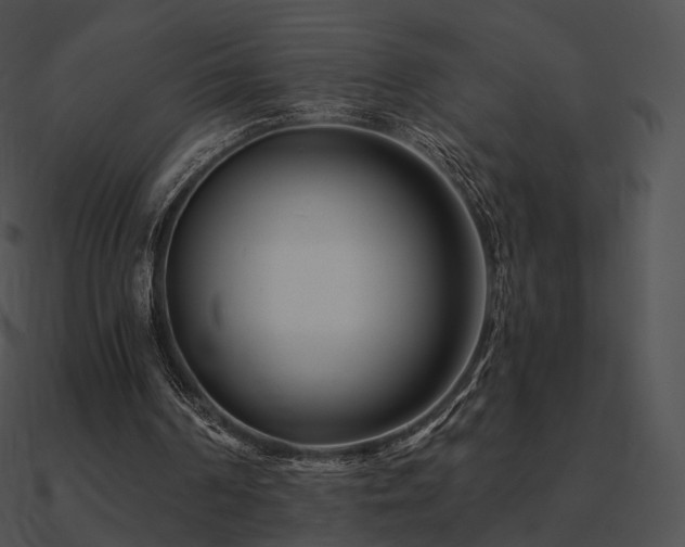 X0000090970194200708021445