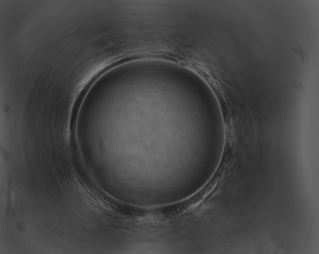 X0000090970196200708021445