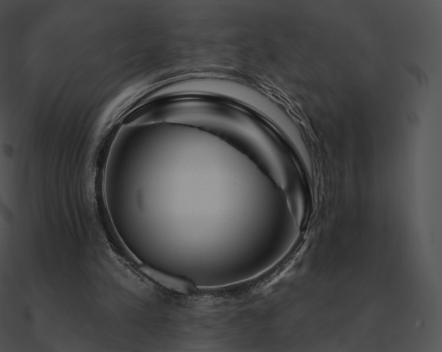 X0000090970197200708021445