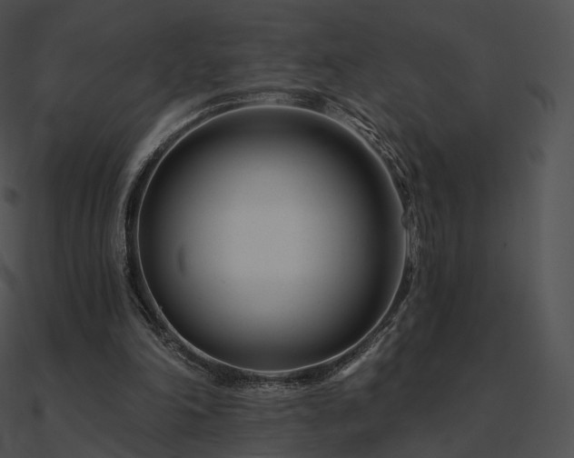 X0000090970198200708021445