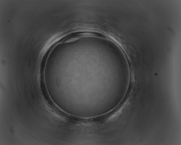 X0000090970199200708021445