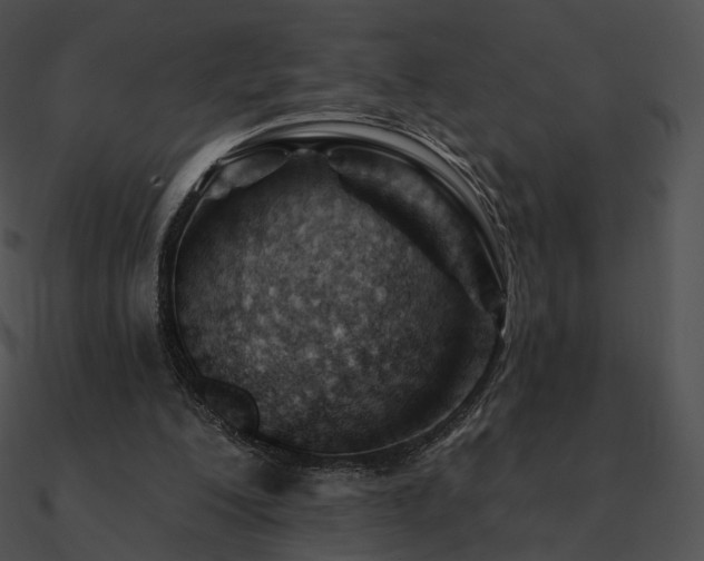 X0000090970200200708021445