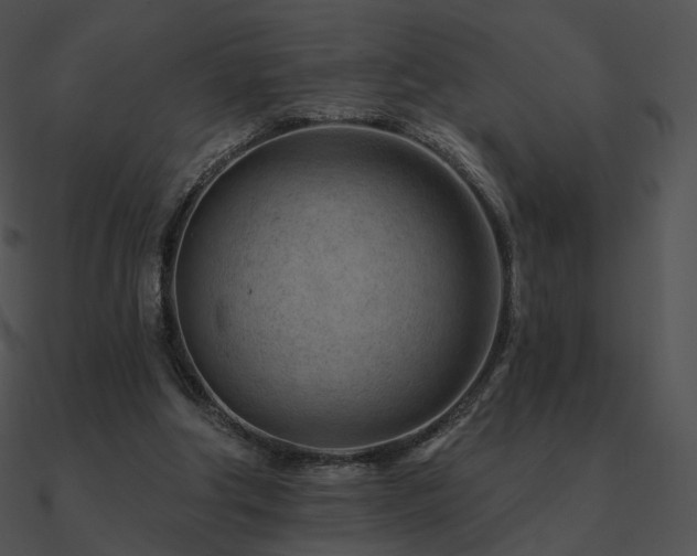 X0000090970202200708021445