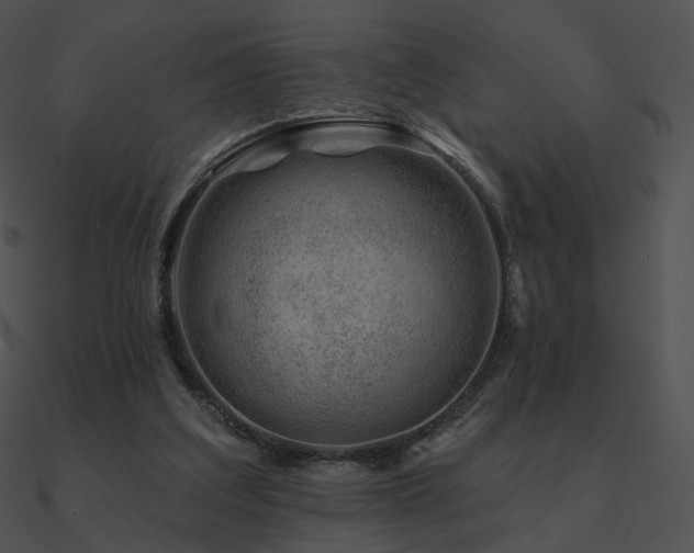 X0000090970203200708021445