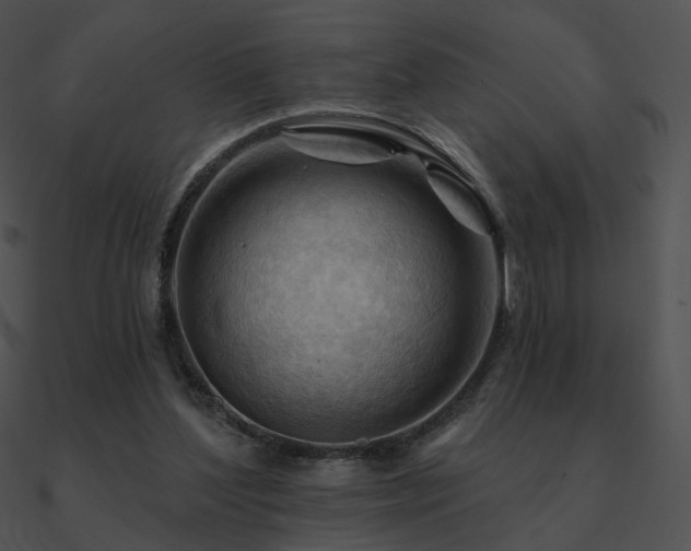 X0000090970204200708021445