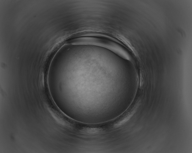 X0000090970205200708021445