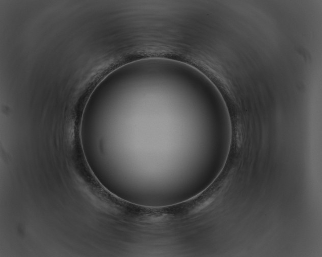 X0000090970206200708021445