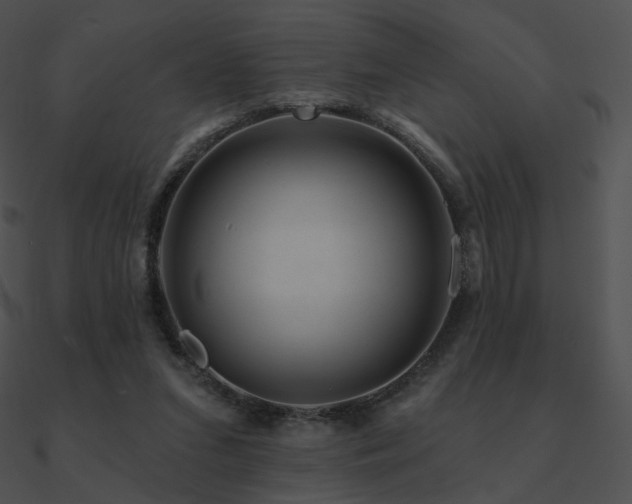 X0000090970207200708021445