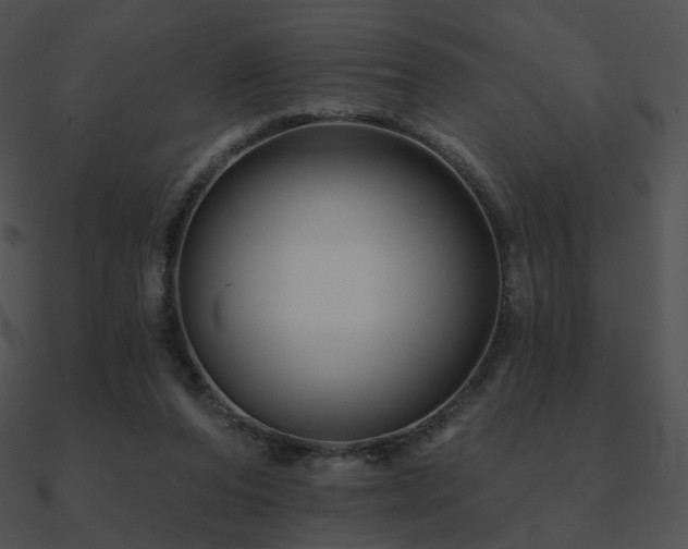 X0000090970208200708021445