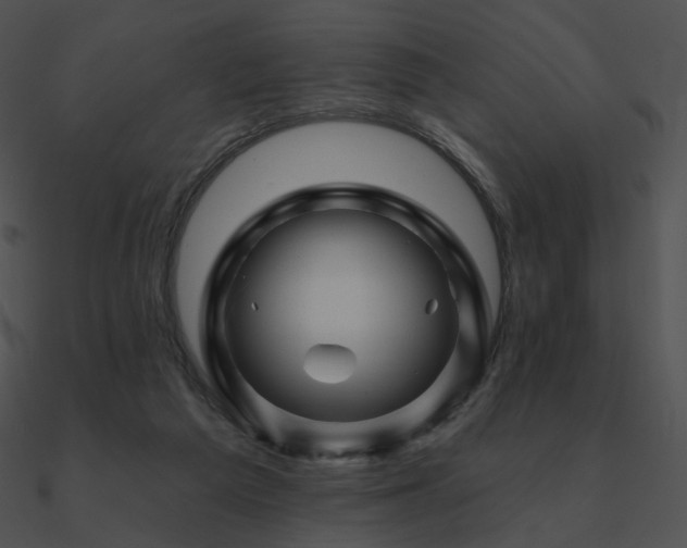 X0000090970209200708021445