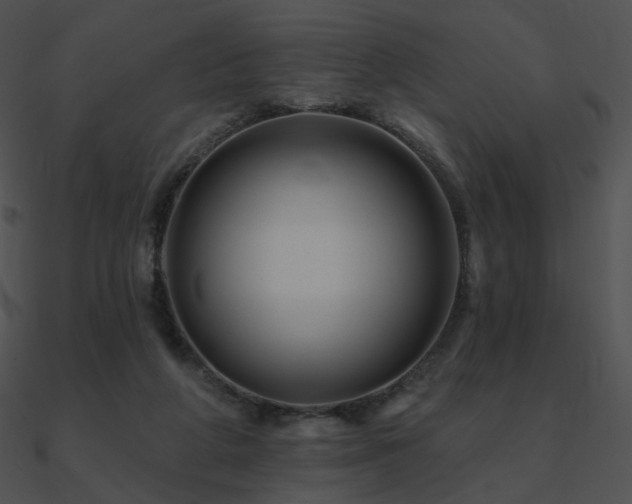 X0000090970210200708021445