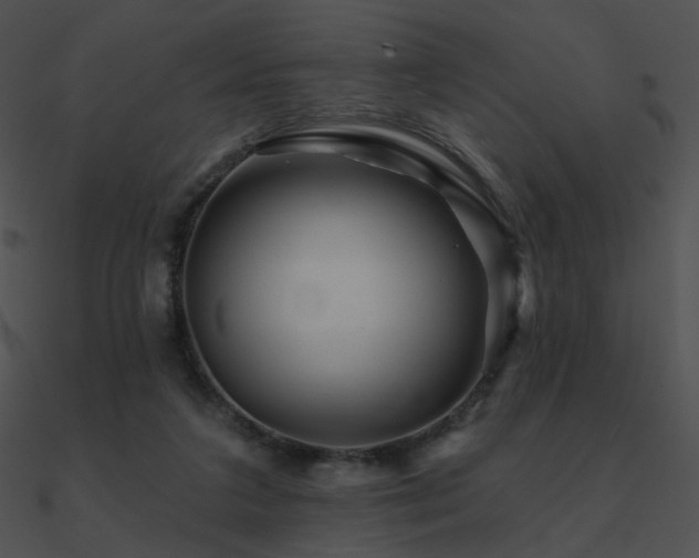 X0000090970211200708021445