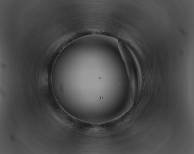 X0000090970212200708021445