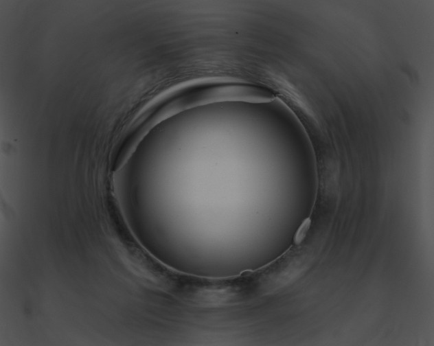 X0000090970213200708021445