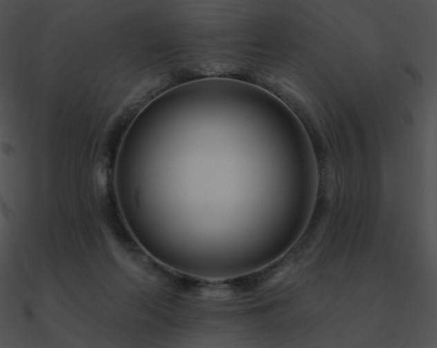 X0000090970214200708021445