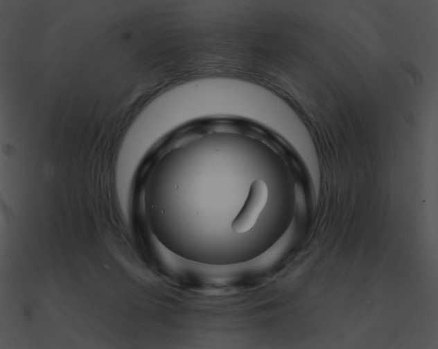 X0000090970215200708021445