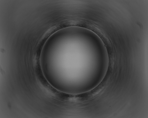 X0000090970216200708021445