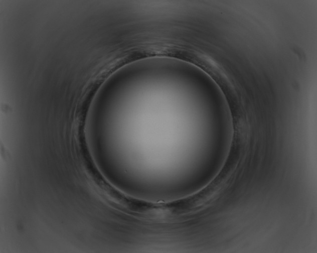 X0000090970217200708021445