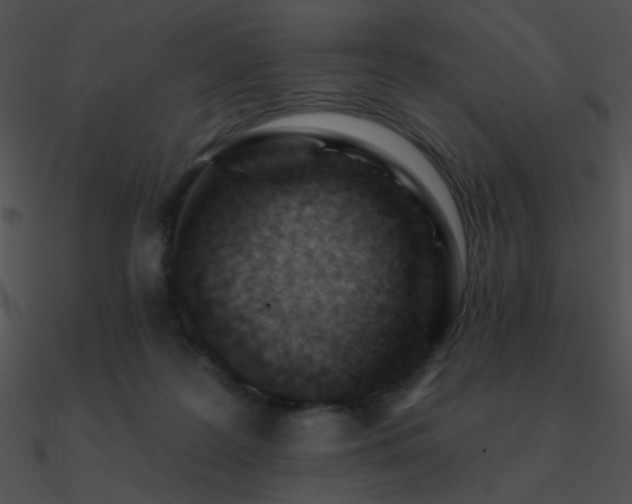 X0000090970219200708021444