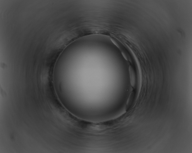 X0000090970221200708021444