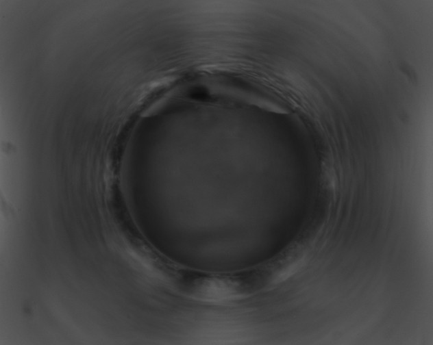 X0000090970223200708021444