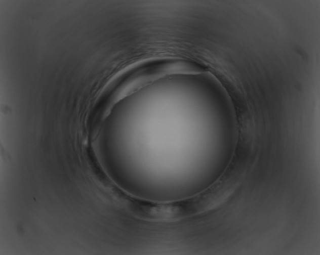 X0000090970225200708021444