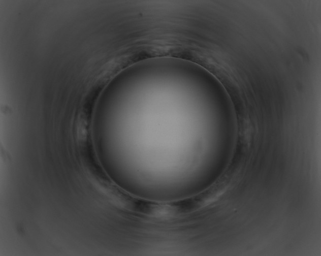 X0000090970226200708021444