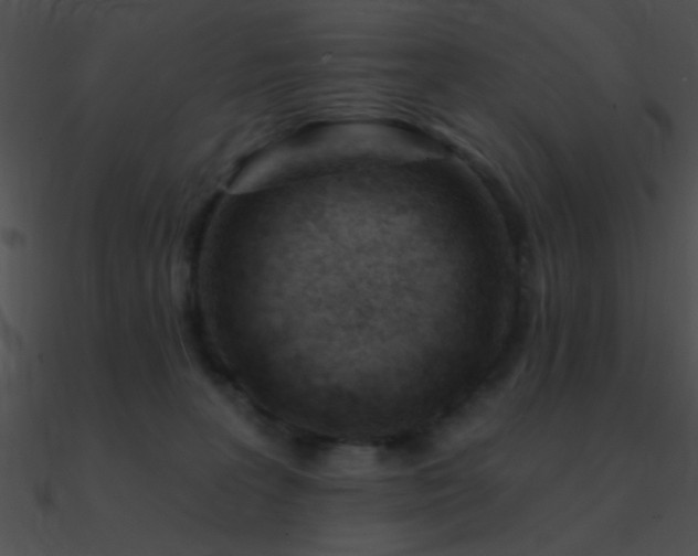 X0000090970227200708021444