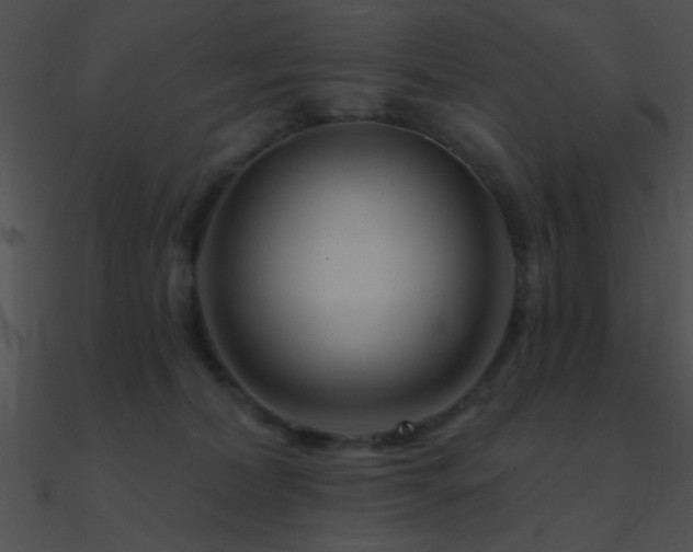 X0000090970228200708021444