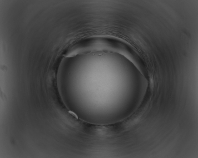 X0000090970229200708021444